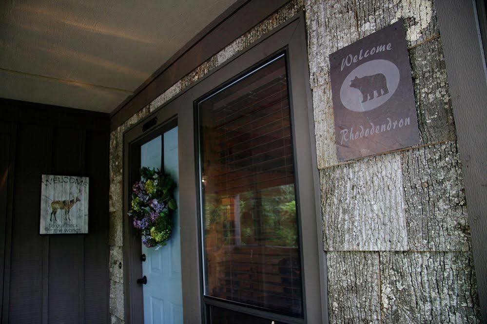 Black Bear Lodge Of Sapphire Exterior photo