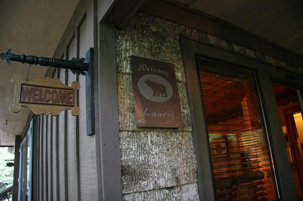Black Bear Lodge Of Sapphire Exterior photo
